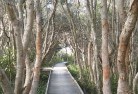 Wagga Waggalandscape-structures-1.jpg; ?>
