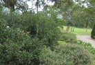 Wagga Waggaresidential-landscaping-35.jpg; ?>