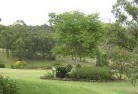 Wagga Waggaresidential-landscaping-40.jpg; ?>